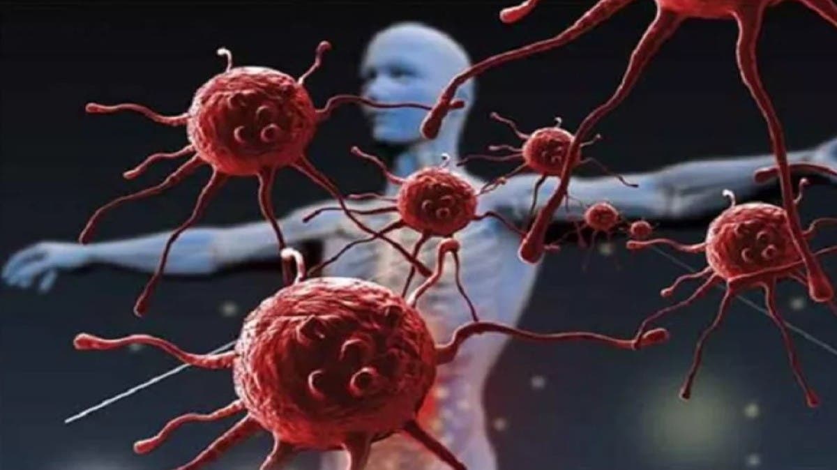 %d8%b7%d8%a8%d9%8a%d8%a8 %d8%b1%d9%88%d8%b3%d9%8a %d9%85%d9%88%d8%a7%d9%84%d9%8a%d8%af %d8%a7%d9%84%d8%b1%d8%a8%d9%8a%d8%b9 %d8%a3%d9%83%d8%ab%d8%b1 %d8%b9%d8%b1%d8%b6%d8%a9 %d9%84%d9%84%d8%a5%d8%b5