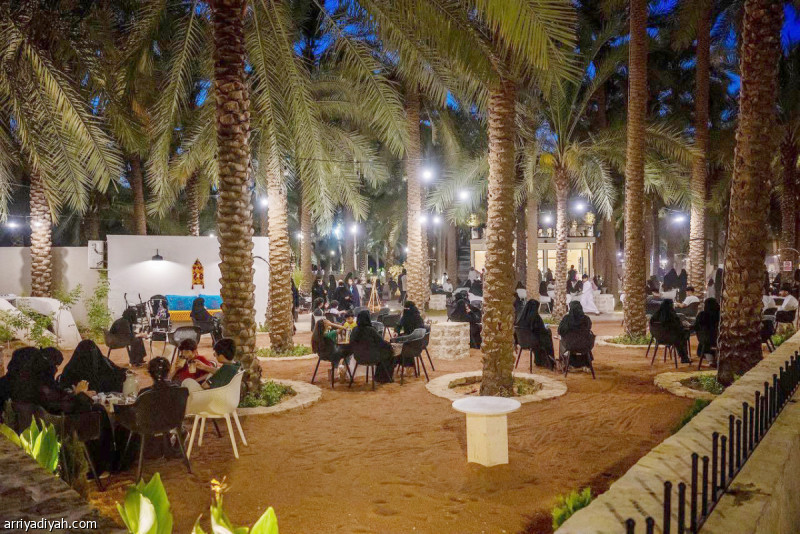 %d8%ac%d8%a7%d8%af%d8%a9 %d8%a7%d9%84%d9%86%d8%ae%d9%8a%d9%84 50 %d8%a3%d9%84%d9%81 %d8%b2%d8%a7%d8%a6%d8%b1 %d8%a3%d8%b3%d8%a8%d9%88%d8%b9%d9%8a%d9%91%d8%a7