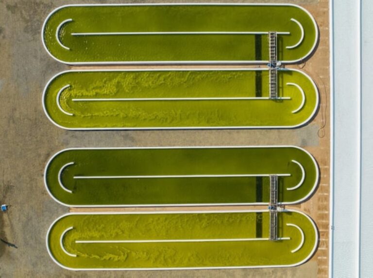 %d8%a7%d9%84%d8%ab%d8%b1%d9%88%d8%a9 %d8%a7%d9%84%d8%b3%d9%85%d9%83%d9%8a%d8%a9 %d8%a7%d9%84%d8%b7%d8%ad%d8%a7%d9%84%d8%a8 %d8%a7%d9%84%d8%af%d9%82%d9%8a%d9%82%d8%a9 %d8%b3%d8%aa%d9%88%d9%81%d8%b1 13