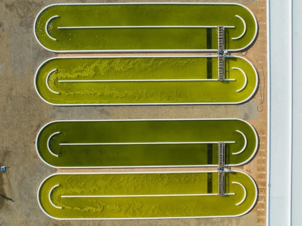 %d8%a7%d9%84%d8%ab%d8%b1%d9%88%d8%a9 %d8%a7%d9%84%d8%b3%d9%85%d9%83%d9%8a%d8%a9 %d8%a7%d9%84%d8%b7%d8%ad%d8%a7%d9%84%d8%a8 %d8%a7%d9%84%d8%af%d9%82%d9%8a%d9%82%d8%a9 %d8%b3%d8%aa%d9%88%d9%81%d8%b1 13