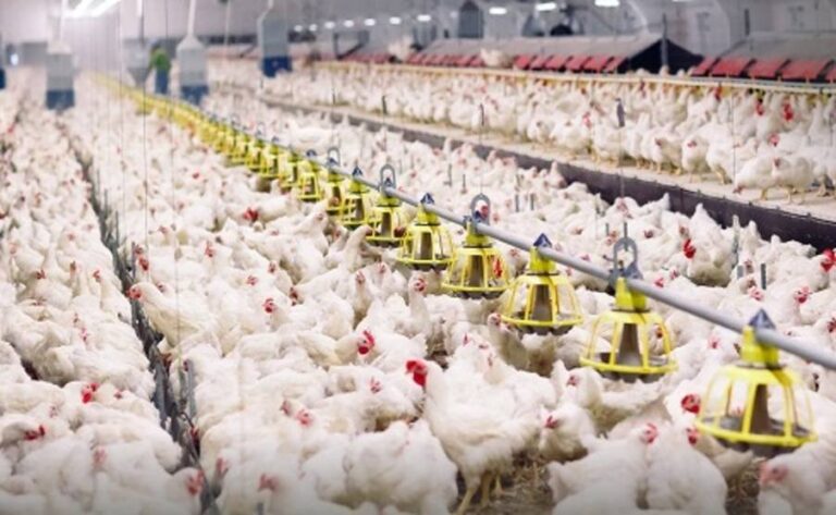 %d8%a7%d9%84%d8%b3%d8%b9%d9%88%d8%af%d9%8a%d8%a9 %d8%aa%d9%8f%d8%ad%d9%82%d9%82 %d9%82%d9%81%d8%b2%d8%a9 %d8%ac%d8%af%d9%8a%d8%af%d8%a9 %d9%81%d9%8a %d8%ad%d8%ac%d9%85 %d8%a5%d9%86%d8%aa%d8%a7%d8%ac