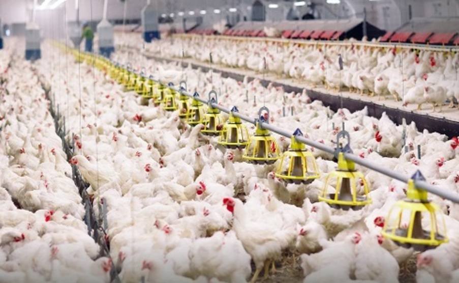 %d8%a7%d9%84%d8%b3%d8%b9%d9%88%d8%af%d9%8a%d8%a9 %d8%aa%d9%8f%d8%ad%d9%82%d9%82 %d9%82%d9%81%d8%b2%d8%a9 %d8%ac%d8%af%d9%8a%d8%af%d8%a9 %d9%81%d9%8a %d8%ad%d8%ac%d9%85 %d8%a5%d9%86%d8%aa%d8%a7%d8%ac