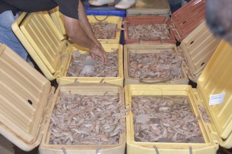 %d8%a8%d9%86%d8%b3%d8%a8%d8%a9 93 %d9%85%d8%b5%d8%a7%d8%a6%d8%af %d8%a7%d9%84%d8%ae%d9%84%d9%8a%d8%ac %d8%a7%d9%84%d8%b9%d8%b1%d8%a8%d9%8a %d8%aa%d8%b3%d8%aa%d8%ad%d9%88%d8%b0 %d8%b9%d9%84%d9%89