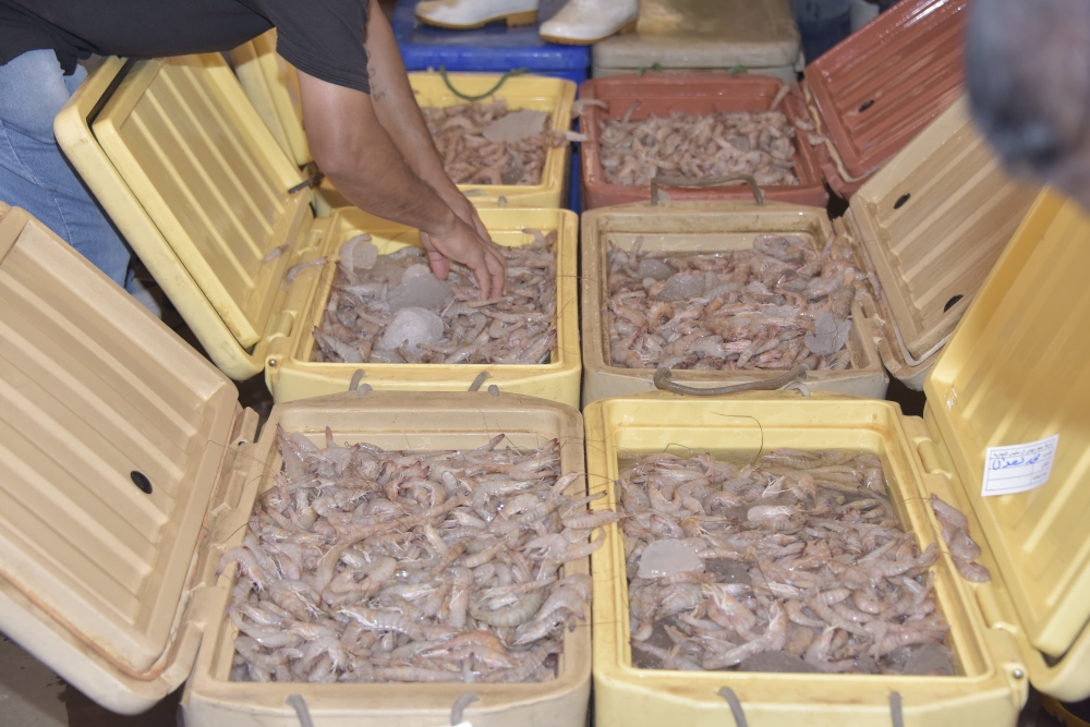 %d8%a8%d9%86%d8%b3%d8%a8%d8%a9 93 %d9%85%d8%b5%d8%a7%d8%a6%d8%af %d8%a7%d9%84%d8%ae%d9%84%d9%8a%d8%ac %d8%a7%d9%84%d8%b9%d8%b1%d8%a8%d9%8a %d8%aa%d8%b3%d8%aa%d8%ad%d9%88%d8%b0 %d8%b9%d9%84%d9%89