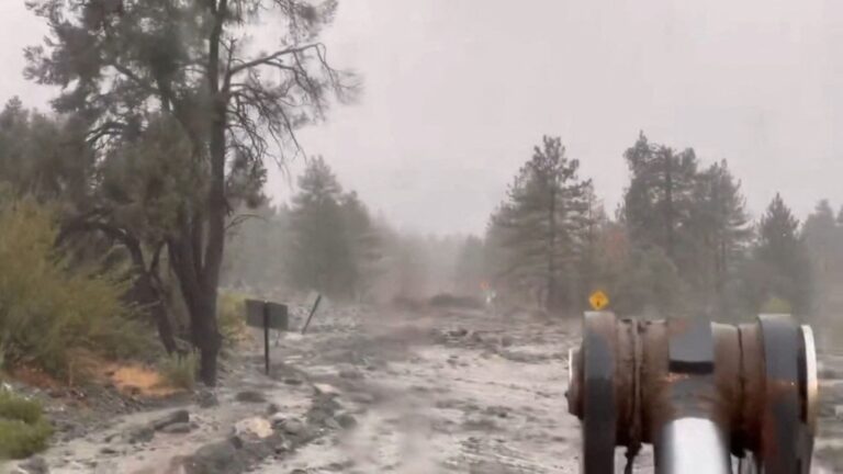 %d9%82%d9%86%d8%b5%d9%84%d9%8a%d8%a9 %d8%a7%d9%84%d9%85%d9%85%d9%84%d9%83%d8%a9 %d9%81%d9%8a %d9%87%d9%8a%d9%88%d8%b3%d8%aa%d9%86 %d8%aa%d8%ad%d8%b0%d8%b1 %d8%a7%d9%84%d9%85%d9%88%d8%a7%d8%b7%d9%86