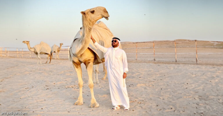 %d8%a7%d9%84%d8%b0%d9%8a%d8%a7%d8%a8%d9%8a %d8%a7%d9%86%d8%aa%d8%b8%d8%b1%d9%88%d8%a7 %d8%b4%d9%82%d8%ad %d8%a7%d9%84%d9%86%d8%b5%d8%b1 %d9%81%d9%8a %d8%a7%d9%84%d8%b5%d9%8a%d8%a7%d9%87%d8%af