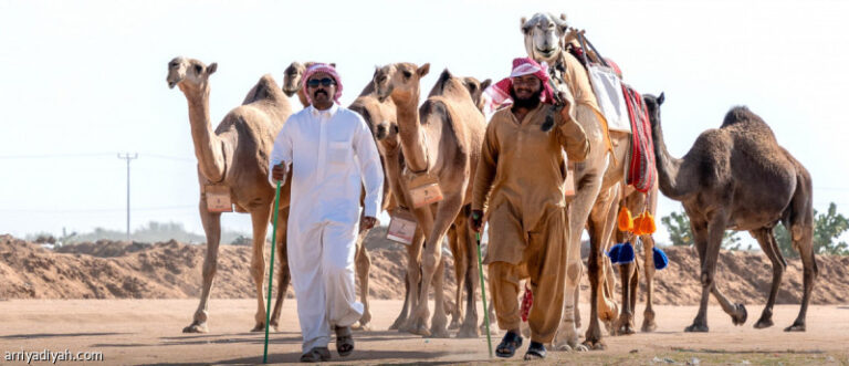 %d8%a2%d9%84 %d8%b1%d8%b4%d9%8a%d8%af %d9%88%d8%a7%d9%84%d8%b9%d8%ac%d9%85%d9%8a %d9%88%d8%a7%d9%84%d8%ac%d8%a7%d8%b3%d8%b1 %d9%88%d8%a7%d9%84%d8%b4%d9%84%d8%a7%d8%ad%d9%8a %d8%a3%d8%a8%d8%b7%d8%a7