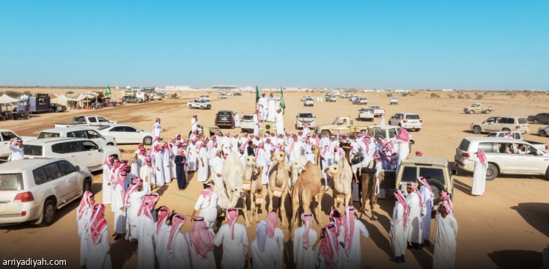 1900 %d9%85%d8%aa%d9%86 %d8%aa%d8%b3%d8%aa%d8%b9%d8%b1%d8%b6 %d8%a3%d9%85%d8%a7%d9%85 %d8%a7%d9%84%d8%aa%d8%ad%d9%83%d9%8a%d9%85