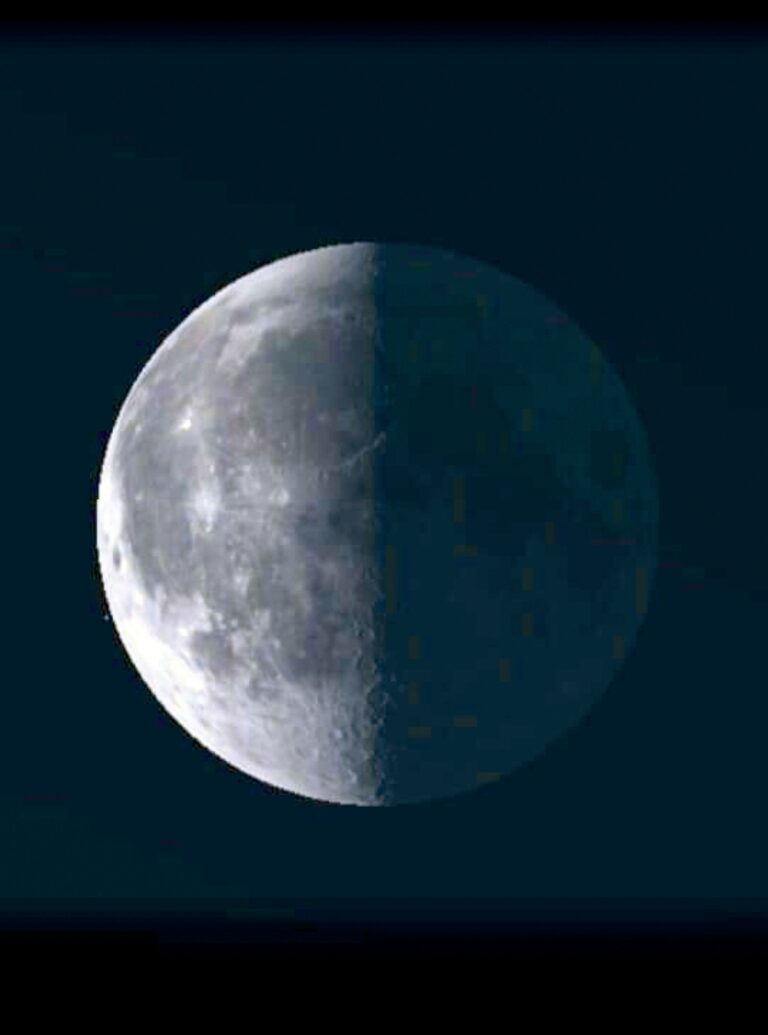 %d9%81%d9%84%d9%83%d9%8a%d8%a9 %d8%ac%d8%af%d8%a9 %d8%a7%d9%84%d8%aa%d8%b1%d8%a8%d9%8a%d8%b9 %d8%a7%d9%84%d8%a3%d8%ae%d9%8a%d8%b1 %d9%8a%d9%82%d8%aa%d8%b1%d9%86 %d8%a8%d8%a7%d9%84%d9%85%d8%b1