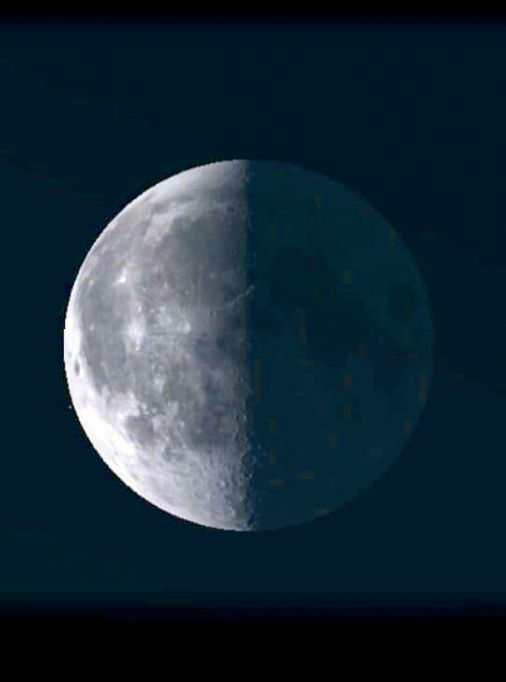 %d9%81%d9%84%d9%83%d9%8a%d8%a9 %d8%ac%d8%af%d8%a9 %d8%a7%d9%84%d8%aa%d8%b1%d8%a8%d9%8a%d8%b9 %d8%a7%d9%84%d8%a3%d8%ae%d9%8a%d8%b1 %d9%8a%d9%82%d8%aa%d8%b1%d9%86 %d8%a8%d8%a7%d9%84%d9%85%d8%b1