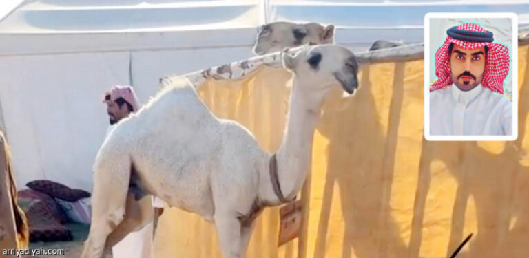 %d8%a7%d9%84%d9%85%d8%b1%d8%b4%d8%af%d9%8a %d9%8a%d8%b1%d9%81%d8%b6 5 %d9%85%d9%84%d8%a7%d9%8a%d9%8a%d9%86 %d9%88%d9%8a%d8%aa%d9%85%d8%b3%d9%91%d9%83 %d8%a8%d9%80 %d9%84%d8%b7%d8%a7%d8%b3