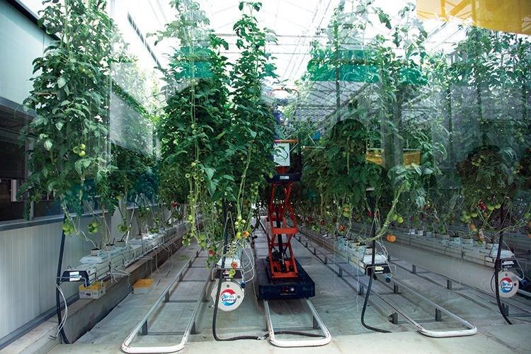 %d8%a3%d8%b1%d8%a8%d8%a7%d8%ad %d8%b3%d8%a7%d8%a8%d9%83 %d9%84%d9%84%d9%85%d8%ba%d8%b0%d9%8a%d8%a7%d8%aa %d8%aa%d8%aa%d8%b1%d8%a7%d8%ac%d8%b9 21 %d8%a5%d9%84%d9%89 220 %d9%85%d9%84%d9%8a