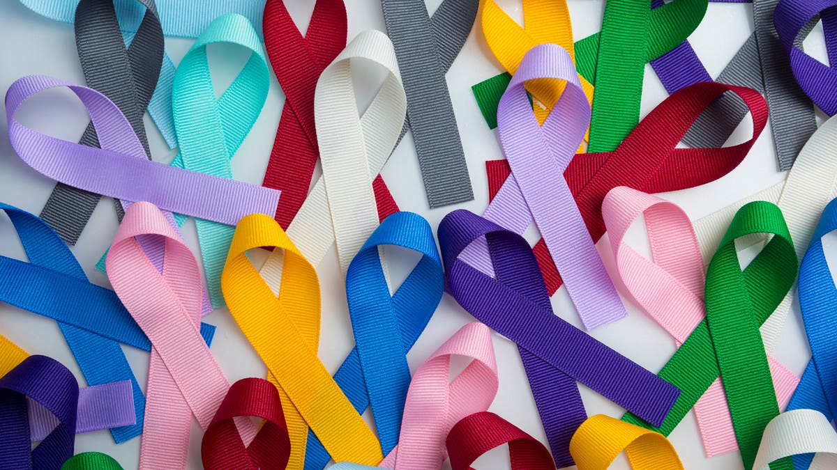 %d8%b1%d8%ae%d9%8a%d8%b5 %d8%a7%d9%84%d8%ab%d9%85%d9%86 %d8%ac%d9%87%d8%a7%d8%b2 %d8%ae%d8%a7%d8%b1%d9%82 %d9%8a%d8%b4%d8%ae%d8%b5 %d8%a7%d9%84%d8%b3%d8%b1%d8%b7%d8%a7%d9%86 %d9%81%d9%8a %d8%b3