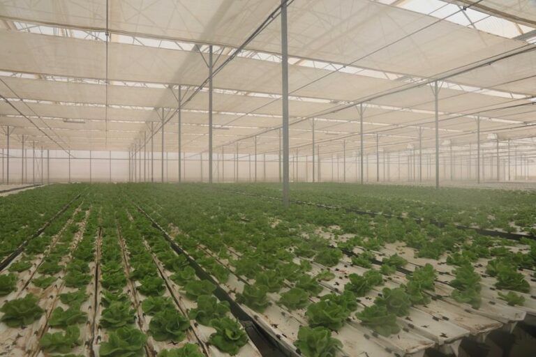 %d8%a7%d9%84%d8%b2%d8%b1%d8%a7%d8%b9%d8%a9 %d8%a7%d9%84%d9%85%d8%b3%d8%aa%d8%af%d8%a7%d9%85%d8%a9 %d9%81%d9%8a %d8%a7%d9%84%d8%a5%d9%85%d8%a7%d8%b1%d8%a7%d8%aa %d9%86%d9%82%d9%84%d8%a9 %d9%86%d9%88