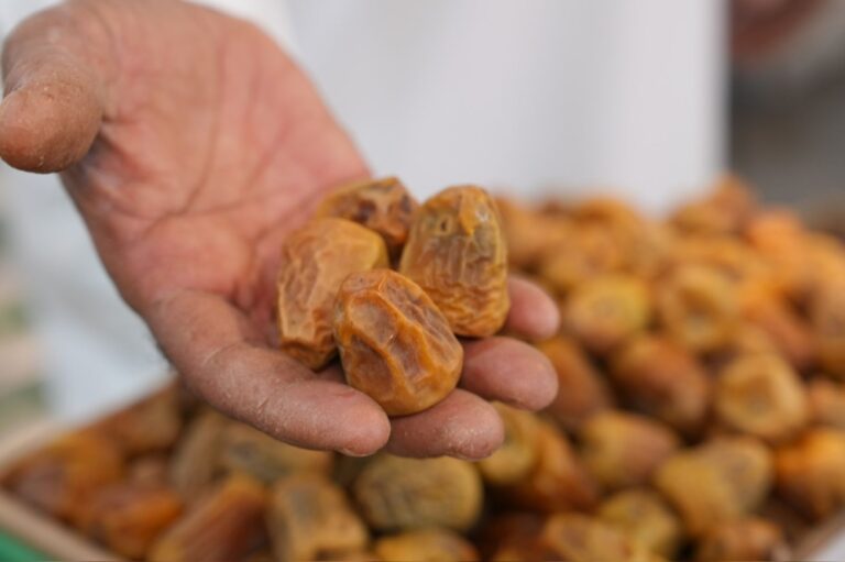 %d8%aa%d9%85%d9%88%d8%b1 %d8%a7%d9%84%d9%85%d8%af%d9%8a%d9%86%d8%a9 %d8%a7%d9%84%d9%85%d9%86%d9%88%d8%b1%d8%a9 %d8%af%d8%b9%d9%85 %d9%85%d8%aa%d9%88%d8%a7%d8%b5%d9%84 %d9%84%d8%a3%d8%b5%d8%ad