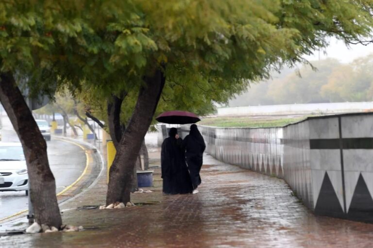 %d8%ad%d8%aa%d9%89 11 %d9%85%d8%b3%d8%a7%d8%a1 %d8%a3%d9%85%d8%b7%d8%a7%d8%b1 %d8%ae%d9%81%d9%8a%d9%81%d8%a9 %d8%b9%d9%84%d9%89 %d8%a7%d9%84%d8%b4%d8%b1%d9%82%d9%8a%d8%a9 %d9%88%d9%85%d9%83%d8%a9