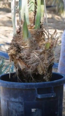 %d8%a7%d9%84%d8%a8%d9%8a%d8%a6%d8%a9 %d8%aa%d9%88%d8%b5%d9%8a %d8%a8%d9%80 3 %d8%ae%d8%b7%d9%88%d8%a7%d8%aa %d8%a3%d8%b3%d8%a7%d8%b3%d9%8a%d8%a9 %d9%84%d8%b6%d9%85%d8%a7%d9%86 %d8%b2%d8%b1%d8%a7