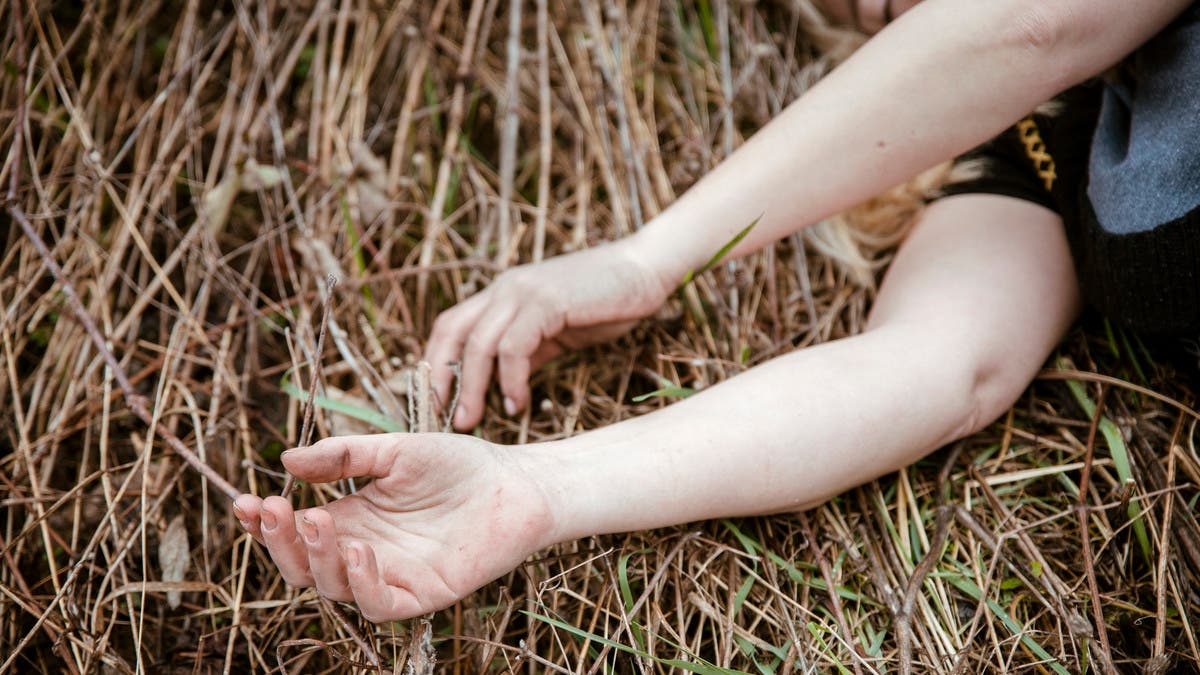 %d8%ad%d9%85%d9%84 %d9%88%d8%b9%d9%84%d8%a7%d9%82%d8%a9 %d9%85%d8%ad%d8%b1%d9%85%d8%a9 %d8%a7%d9%84%d8%b9%d8%ab%d9%88%d8%b1 %d8%b9%d9%84%d9%89 %d9%81%d8%aa%d8%a7%d8%a9 %d8%b9%d9%84%d9%89 %d9%82