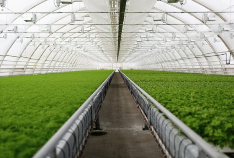 %d8%a7%d9%84%d8%a3%d9%88%d9%84 %d9%81%d9%8a %d8%a7%d9%84%d8%b4%d8%b1%d9%82 %d8%a7%d9%84%d8%a3%d9%88%d8%b3%d8%b7 %d8%a7%d9%84%d8%a8%d9%8a%d8%a6%d8%a9 %d8%aa%d8%b5%d8%af%d8%b1 %d8%aa%d8%b1%d8%ae