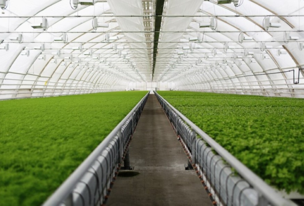 %d8%a7%d9%84%d8%a3%d9%88%d9%84 %d9%81%d9%8a %d8%a7%d9%84%d8%b4%d8%b1%d9%82 %d8%a7%d9%84%d8%a3%d9%88%d8%b3%d8%b7 %d8%a7%d9%84%d8%a8%d9%8a%d8%a6%d8%a9 %d8%aa%d8%b5%d8%af%d8%b1 %d8%aa%d8%b1%d8%ae