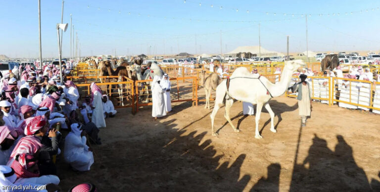 %d9%85%d8%b2%d8%a7%d8%af %d8%a7%d9%84%d8%a5%d8%a8%d9%84 %d9%8a%d9%86%d8%b7%d9%84%d9%82 %d9%81%d9%8a %d9%86%d8%ac%d8%b1%d8%a7%d9%86