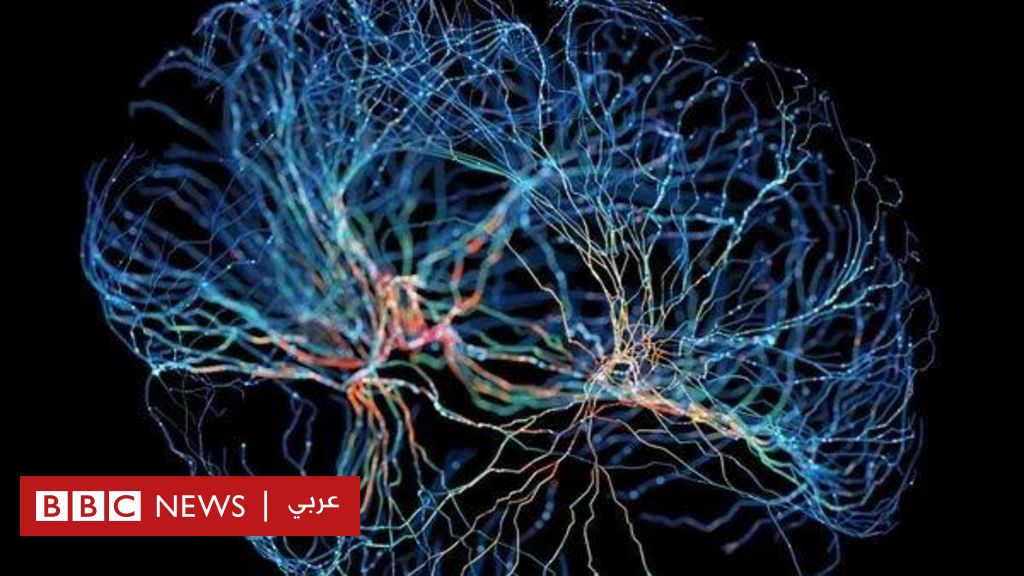 %d9%87%d9%84 %d9%8a%d9%85%d9%83%d9%86 %d8%a3%d9%86 %d8%aa%d8%b9%d8%a7%d9%84%d8%ac %d8%a7%d9%84%d8%ba%d8%b1%d8%b3%d8%a7%d8%aa %d8%a7%d9%84%d8%ac%d8%af%d9%8a%d8%af%d8%a9 %d8%a7%d9%84%d8%a7%d9%83%d8%aa