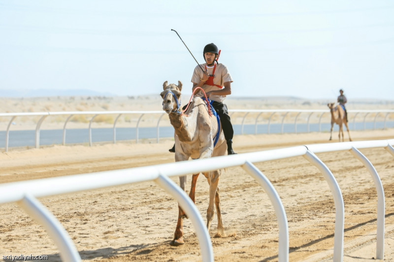 %d8%a7%d9%84%d8%b9%d8%aa%d9%8a%d8%a8%d9%8a %d9%8a%d8%aa%d9%88%d9%91%d8%ac %d8%a3%d8%a8%d8%b7%d8%a7%d9%84 %d9%87%d8%ac%d9%86 %d9%86%d8%ac%d8%b1%d8%a7%d9%86