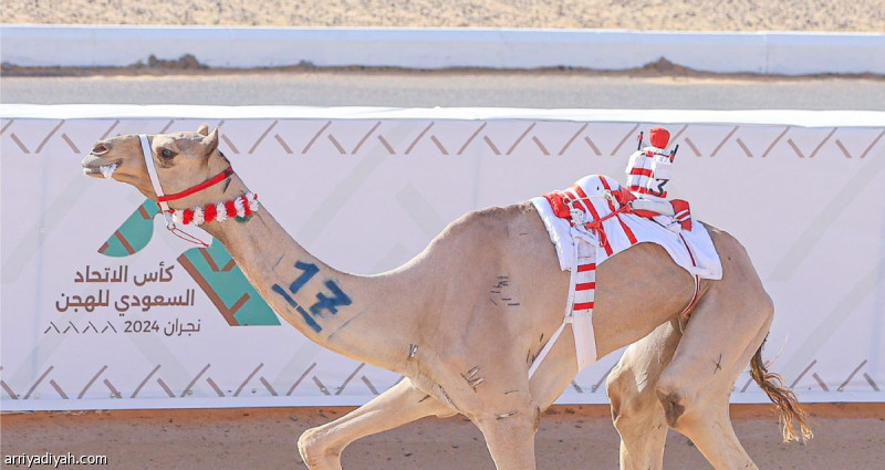 %d8%a8%d9%80 10 %d9%83%d8%a4%d9%88%d8%b3 %d8%a7%d9%84%d9%85%d9%84%d8%a7%d9%83 %d8%a7%d9%84%d8%b3%d8%b9%d9%88%d8%af%d9%8a%d9%88%d9%86 %d9%8a%d8%b3%d9%8a%d8%b7%d8%b1%d9%88%d9%86 %d9%81%d9%8a