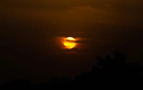 %d8%a7%d9%84%d8%a5%d9%86%d8%aa%d8%b1%d9%86%d8%aa %d8%b3%d9%8a%d8%ae%d8%aa%d9%81%d9%8a %d9%84%d9%85%d8%af%d8%a9 %d8%a3%d8%b3%d8%a7%d8%a8%d9%8a%d8%b9 %d8%a8%d8%b3%d8%a8%d8%a8 %d8%b8%d8%a7%d9%87%d8%b1