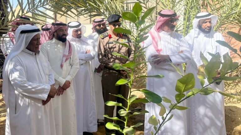 %d8%a7%d9%84%d8%b1%d9%8a %d9%88%d8%a7%d9%84%d9%81%d8%a7%d9%88 %d8%aa%d9%86%d8%b8%d9%85%d8%a7%d9%86 %d8%ac%d9%84%d8%b3%d8%a9 %d8%aa%d8%b9%d8%b1%d9%8a%d9%81%d9%8a%d8%a9 %d8%a8%d8%aa%d9%82%d9%86