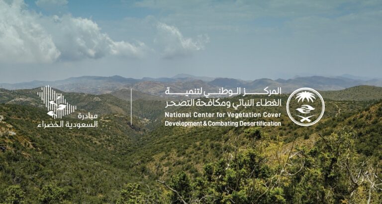 441156803 293656733806390 6728847321172151375 N 1.jpg