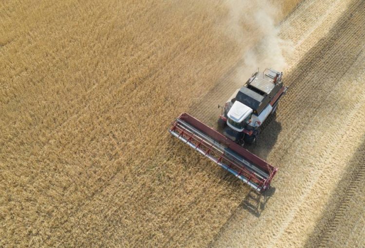 %d8%a7%d9%84%d8%ac%d9%81%d8%a7%d9%81 %d9%8a%d8%a3%d9%83%d9%84 %d8%a7%d9%84%d9%82%d9%85%d8%ad %d8%a7%d9%84%d8%b1%d9%88%d8%b3%d9%8a %d9%88%d9%8a%d8%b1%d9%81%d8%b9 %d8%a3%d8%b3%d8%b9%d8%a7%d8%b1%d9%87