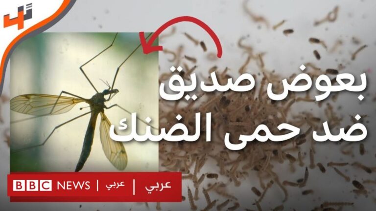 %d8%a8%d8%b9%d9%88%d8%b6 %d8%b5%d8%af%d9%8a%d9%82 %d9%81%d9%8a %d9%85%d9%88%d8%a7%d8%ac%d9%87%d8%a9 %d8%ad%d9%85%d9%89 %d8%a7%d9%84%d8%b6%d9%86%d9%83