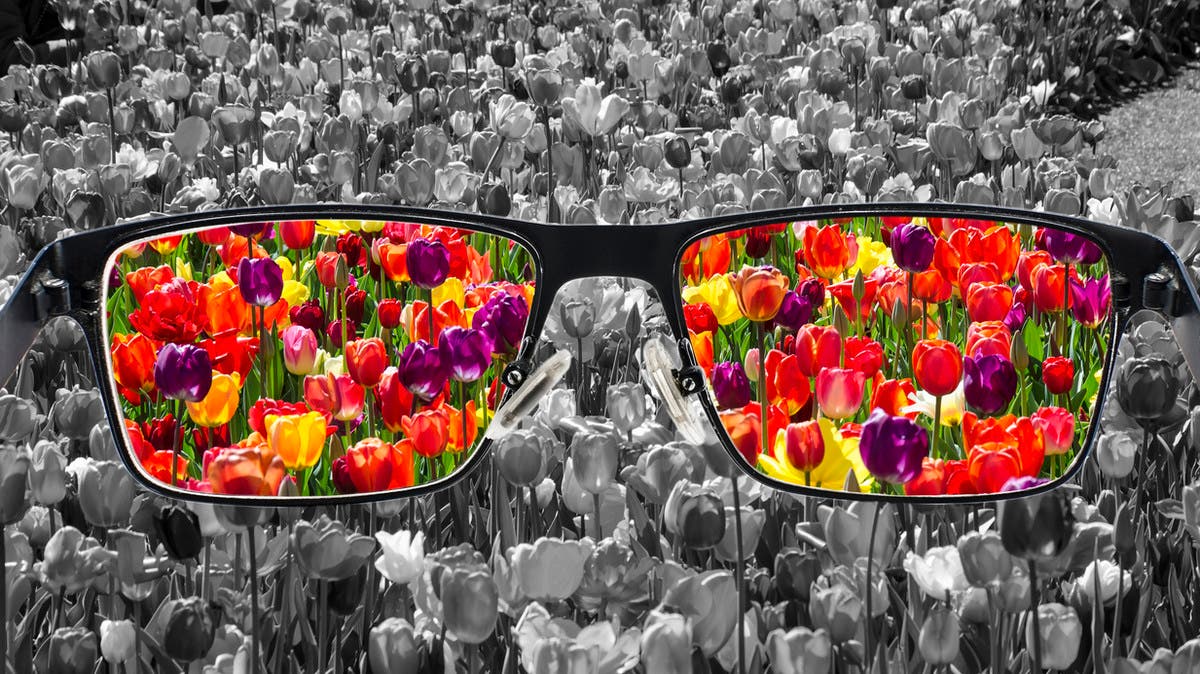 %d8%a8%d8%a7%d9%84%d8%b5%d8%af%d9%81%d8%a9 %d8%a7%d9%83%d8%aa%d8%b4%d8%a7%d9%81 %d8%a7%d8%b1%d8%aa%d8%a8%d8%a7%d8%b7 %d9%85%d8%b0%d9%87%d9%84 %d8%a8%d9%8a%d9%86 %d8%b9%d9%85%d9%89 %d8%a7%d9%84%d8%a3