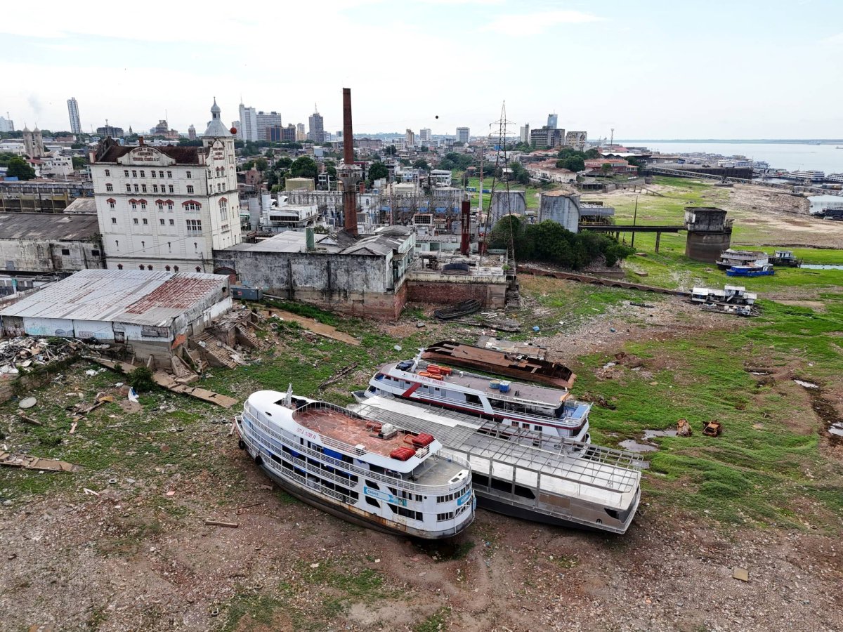 %d8%a7%d8%b3%d8%aa%d9%87%d9%84%d8%a7%d9%83 %d8%a7%d9%84%d8%a8%d8%b1%d8%a7%d8%b2%d9%8a%d9%84 %d9%85%d9%86 %d8%a7%d9%84%d8%ba%d8%a7%d8%b2 %d9%8a%d8%b1%d8%aa%d9%81%d8%b9 %d9%86%d8%aa%d9%8a%d8%ac%d8%a9