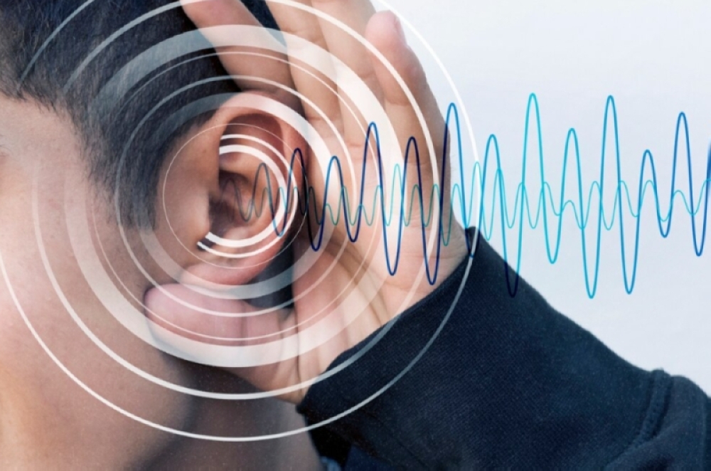 %d8%a7%d9%84%d9%85%d9%85%d9%84%d9%83%d8%a9 %d8%aa%d8%ac%d8%b1%d9%8a 288 %d8%b9%d9%85%d9%84%d9%8a%d8%a9 %d8%b2%d8%b1%d8%a7%d8%b9%d8%a9 %d9%82%d9%88%d9%82%d8%b9%d8%a9 %d8%a8%d8%a7%d9%84%d9%86%d8%b5