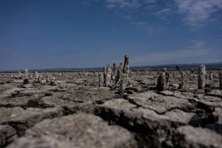 %d9%85%d8%a4%d8%aa%d9%85%d8%b1 %d9%83%d9%88%d8%a8 16 %d9%8a%d9%86%d8%a7%d9%82%d8%b4 %d8%a7%d9%84%d8%aa%d8%af%d9%87%d9%88%d8%b1 %d8%a7%d9%84%d8%a8%d9%8a%d8%a6%d9%8a %d9%88%d8%ae%d8%a8%d8%b1%d8%a7