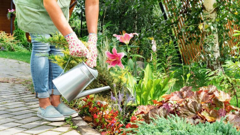 %d9%84%d9%84%d9%86%d8%a8%d8%a7%d8%aa%d8%a7%d8%aa %d8%a3%d9%8a%d8%b6%d8%a7 %d8%a3%d8%b0%d9%86 %d9%85%d9%88%d8%b3%d9%8a%d9%82%d9%8a%d8%a9 %d8%af%d8%b1%d8%a7%d8%b3%d8%a9 %d8%aa%d9%83%d8%b4%d9%81 %d9%85