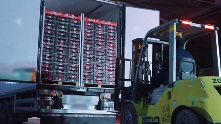 %d8%a7%d9%84%d9%82%d8%a8%d8%b6 %d8%b9%d9%84%d9%89 %d8%b4%d8%ae%d8%b5%d9%8a%d9%86 %d9%84%d8%aa%d8%b1%d9%88%d9%8a%d8%ac%d9%87%d9%85%d8%a7 6 6 %d9%83%d9%8a%d9%84%d9%88%d8%ac%d8%b1%d8%a7%d9%85%d8%a7%d8%aa