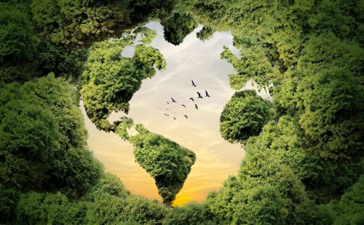 %d8%a7%d9%84%d8%a3%d9%85%d9%85 %d8%a7%d9%84%d9%85%d8%aa%d8%ad%d8%af%d8%a9 %d8%aa%d8%af%d8%b9%d9%88 %d8%a7%d9%84%d8%af%d9%88%d9%84 %d8%a5%d9%84%d9%89 %d8%a7%d8%b3%d8%aa%d8%ab%d9%85%d8%a7%d8%b1