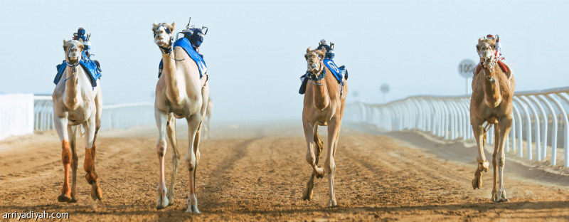 %d8%a7%d9%84%d8%a8%d9%84%d9%88%d9%8a %d9%8a%d8%aa%d9%88%d8%ac %d8%a3%d8%a8%d8%b7%d8%a7%d9%84 %d8%a7%d9%84%d9%87%d8%ac%d9%86 %d9%81%d9%8a %d9%86%d8%ac%d8%b1%d8%a7%d9%86