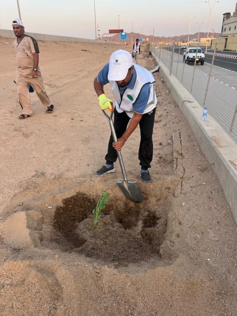 600 %d8%b4%d8%aa%d9%84%d8%a9 %d9%84%d8%aa%d8%b2%d9%8a%d9%8a%d9%86 %d9%85%d8%ad%d8%a7%d9%81%d8%b8%d8%a7%d8%aa %d9%85%d9%83%d8%a9 %d8%ad%d9%85%d9%84%d8%a9 %d8%aa%d8%b4%d8%ac%d9%8a%d8%b1 %d8%a8%d8%a7