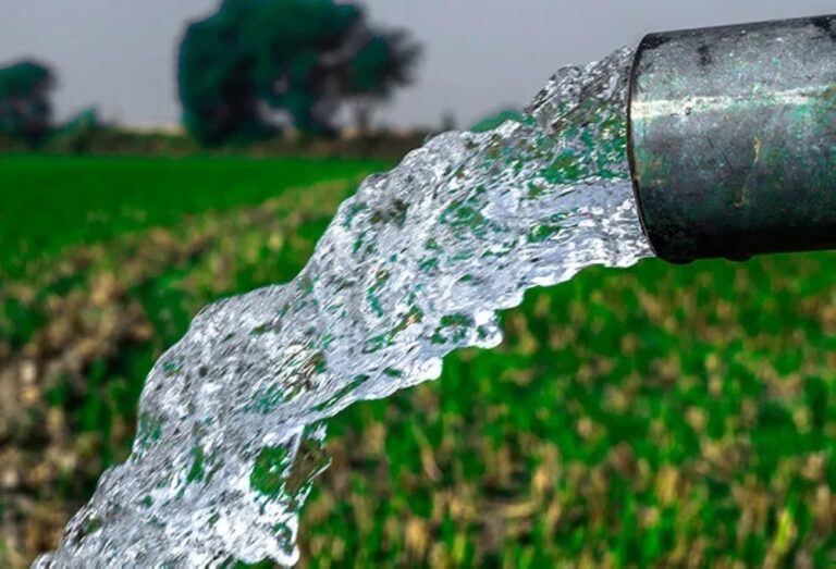 %d8%b3%d9%84%d9%88%d9%81%d9%8a%d9%86%d9%8a%d8%a7 %d8%a7%d9%84%d9%85%d9%85%d9%84%d9%83%d8%a9 %d8%aa%d8%a4%d9%83%d8%af %d8%b6%d8%b1%d9%88%d8%b1%d8%a9 %d8%aa%d9%88%d8%ad%d9%8a%d8%af %d8%a7%d9%84%d8%ac