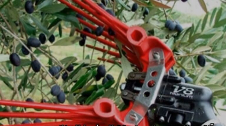 %d8%a7%d9%84%d8%b2%d8%b1%d8%a7%d8%b9%d8%a9 %d8%aa%d9%82%d9%86%d9%8a%d8%a7%d8%aa %d8%ad%d8%af%d9%8a%d8%ab%d8%a9 %d9%84%d9%82%d8%b7%d8%a7%d9%81 %d8%a7%d9%84%d8%b2%d9%8a%d8%aa%d9%88%d9%86 %d8%aa%d8%b9