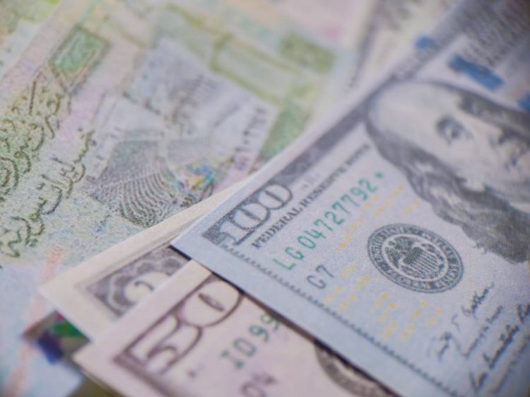 %d8%b3%d8%b9%d8%b1 %d8%a7%d9%84%d8%af%d9%88%d9%84%d8%a7%d8%b1 %d9%85%d9%82%d8%a7%d8%a8%d9%84 %d8%a7%d9%84%d9%84%d9%8a%d8%b1%d8%a9 %d8%a7%d9%84%d8%b3%d9%88%d8%b1%d9%8a%d8%a9 %d8%a7%d9%84%d9%8a%d9%88