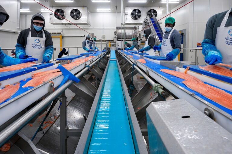 %d8%a3%d8%b1%d8%a8%d8%a7%d8%ad %d8%ba%d8%b0%d8%a7%d8%a1 %d8%a7%d9%84%d9%82%d8%a7%d8%a8%d8%b6%d8%a9 %d8%a7%d9%84%d8%a5%d9%85%d8%a7%d8%b1%d8%a7%d8%aa%d9%8a%d8%a9 %d8%aa%d9%82%d9%81%d8%b2 %d8%a8