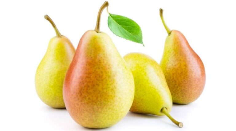 %d9%81%d9%88%d8%a7%d8%a6%d8%af %d8%a7%d9%84%d9%83%d9%85%d8%ab%d8%b1%d9%89