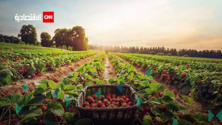 %d8%b1%d8%a7%d9%8a%d8%a9 %d9%81%d9%88%d8%af%d8%b2 %d8%aa%d8%ad%d8%b5%d9%84 %d8%b9%d9%84%d9%89 40 %d9%85%d9%84%d9%8a%d9%88%d9%86 %d8%af%d9%88%d9%84%d8%a7%d8%b1 %d9%84%d8%aa%d9%88%d8%b3%d8%b9%d8%a9