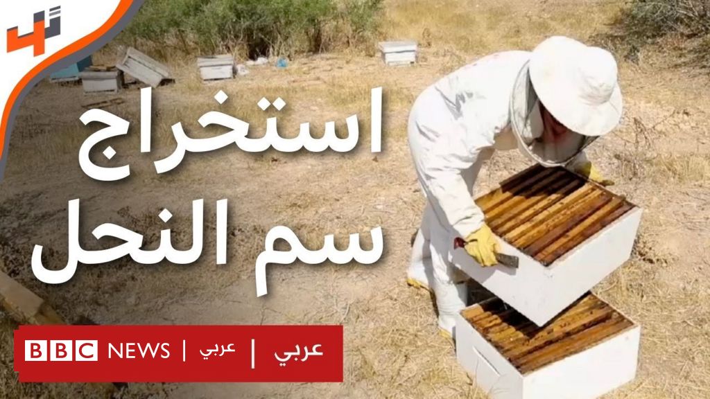 %d8%ac%d9%87%d8%a7%d8%b2 %d9%85%d8%a8%d8%aa%d9%83%d8%b1 %d9%84%d8%a7%d8%b3%d8%aa%d8%ae%d8%b1%d8%a7%d8%ac %d8%b3%d9%85 %d8%a7%d9%84%d9%86%d8%ad%d9%84 %d9%84%d8%b9%d9%84%d8%a7%d8%ac %d8%a7%d9%84%d8%ad