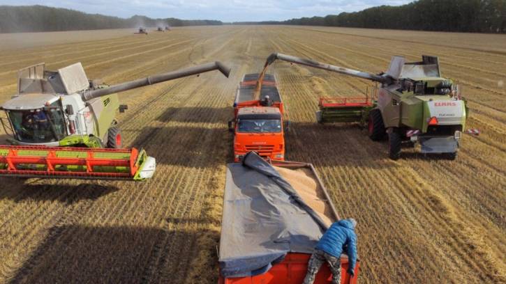 %d8%a3%d8%b3%d8%b9%d8%a7%d8%b1 %d8%a7%d9%84%d9%82%d9%85%d8%ad %d8%a7%d9%84%d8%b1%d9%88%d8%b3%d9%8a %d8%aa%d8%b1%d8%aa%d9%81%d8%b9 %d9%88%d8%b3%d8%b7 %d8%aa%d9%88%d9%82%d8%b9%d8%a7%d8%aa %d8%a8%d8%aa